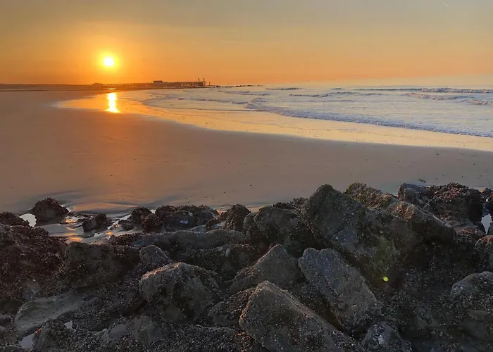 Haerendycke Park Kemping